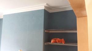 Painting blue walls